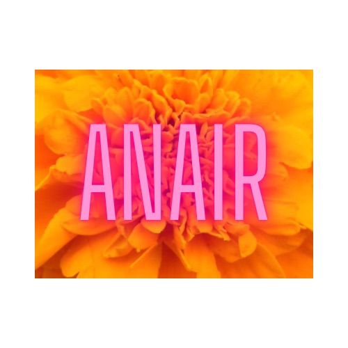 AnairShop