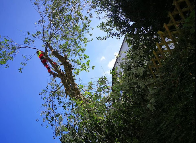 Garten- und Landschaftsbau Ersin Buran