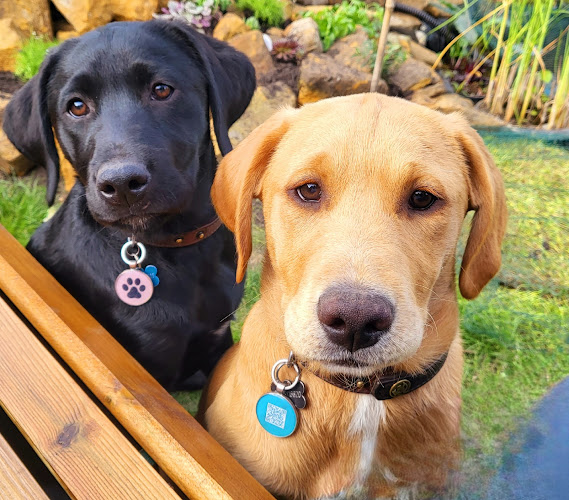 petscorner.co.uk