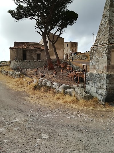 Photos of Capraia isola
