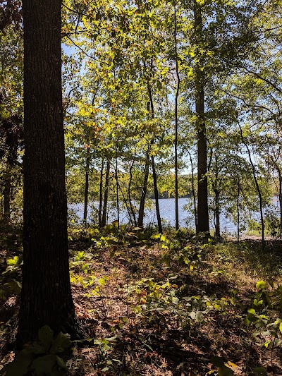 Meadow Park Lake Picnic Area