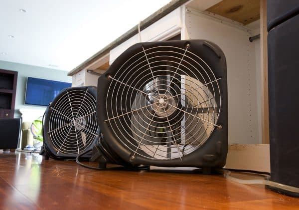 Coastal Property Restoration photo