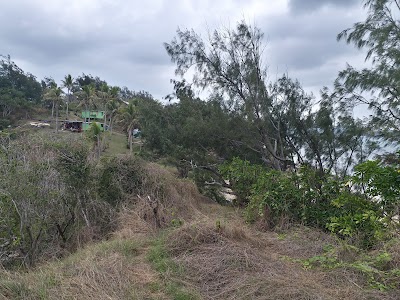 Photos of Lo's Tea House