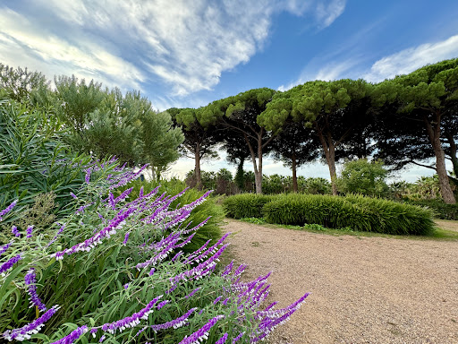 Agricampeggio Podere Pianetti - Thumbnail