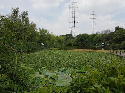 park