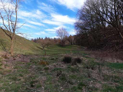 Hohenkamp Camping - Thumbnail