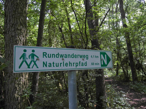 Naturlehrpfad im Oberholz (Gochsheim) - Thumbnail