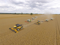 Rémon Travaux agricoles à Parné-sur-Roc
