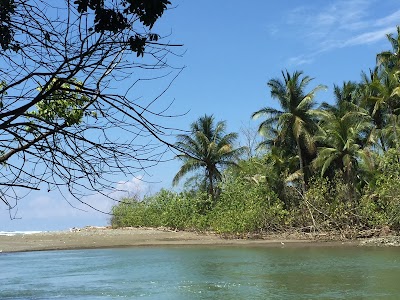 Photos of Ca&ntilde;o Island Biological Reserves