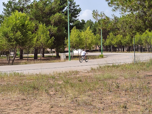 Circuito Municipal de Ciclismo Puebla de Vallbona
