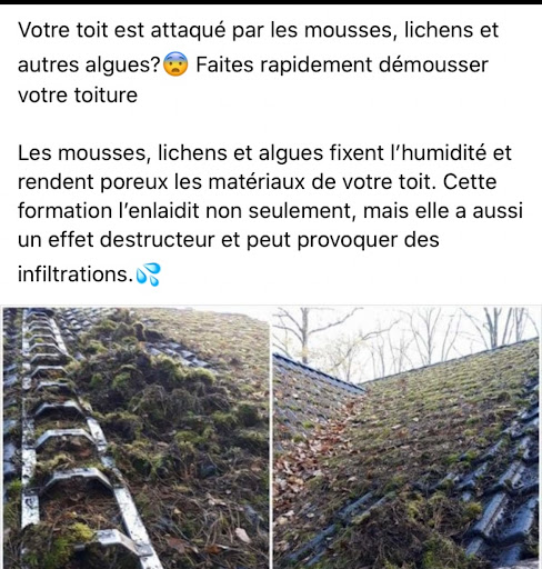 Artilegrain couvreur demoussage nettoyage façade peinture intérieur extérieur Angers brain sur l’authion - Thumbnail