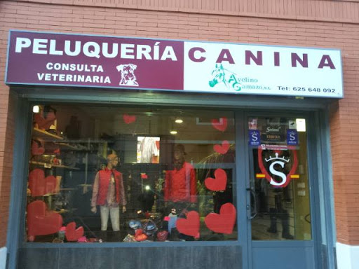 PELUQUERÍA CANINA , CLÍNICA VETERINARIA Y VENTA DE TRAJES FLAMENCOS