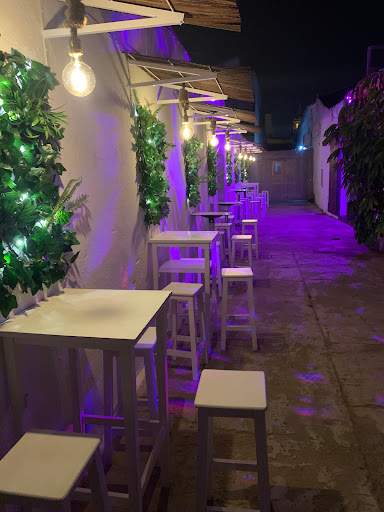 Discoteca Botanic - Visual