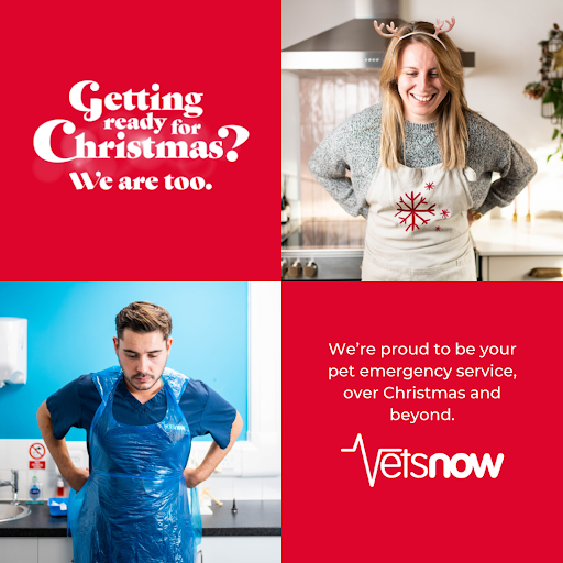 Vets Now Gateshead - Thumbnail