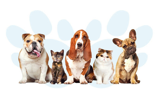 Veterinaria Hernández