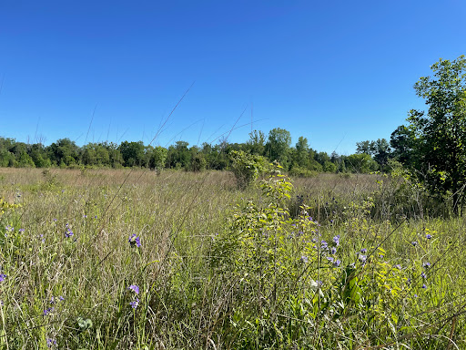 Daubenspeck Community Nature Park - Thumbnail
