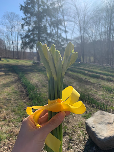 Halfinger Farms - Thumbnail