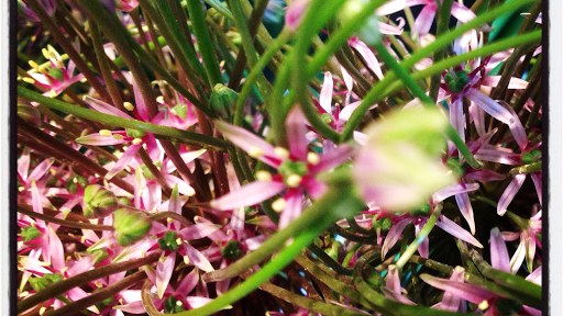 Mr. Riickert Bloem Groen Styling - Thumbnail