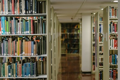 Architecture & Fine Arts Library