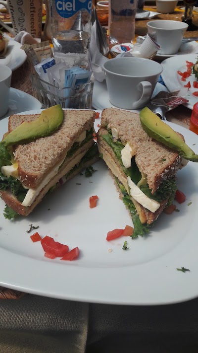 Photos of LAS Palomas Grill