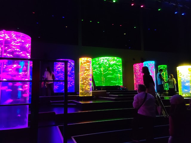 ART AQUARIUM MUSEUM