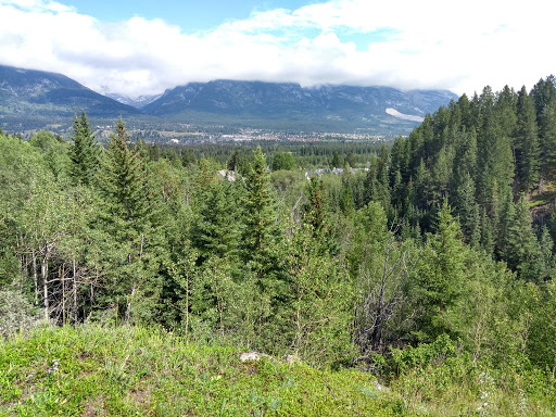 Rundleview Park - Visual