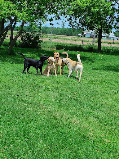 Barking Lot Kennels - Canada