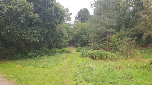 Fehntjer Berg - Thumbnail