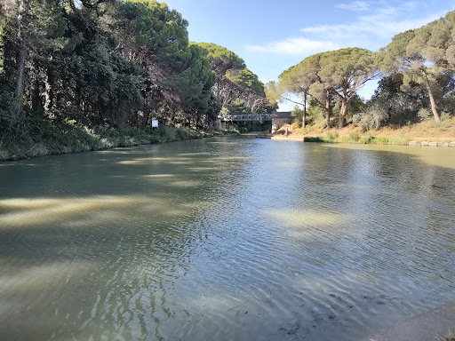 Embranchement du Canal de Jonction et de la Robine