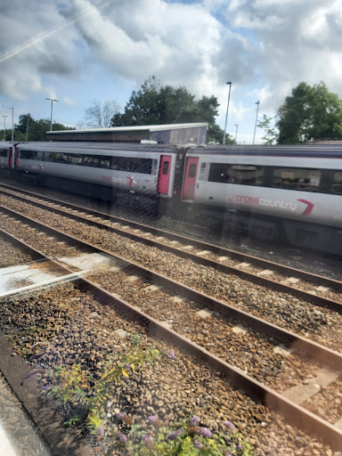 Totnes - Visual