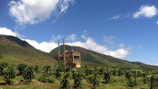 Paradise Eco Adventures - Thumbnail