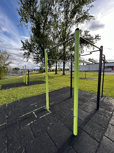 Area Calisthenics Palatriccoli - Thumbnail