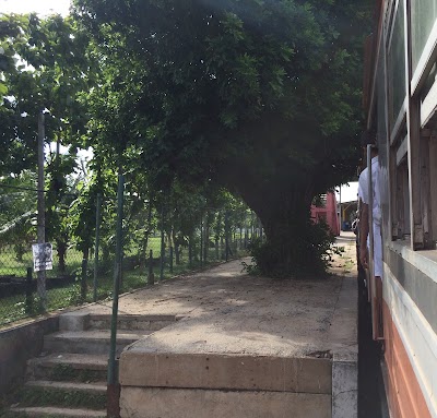 Photos of Katunayaka South Railway Station