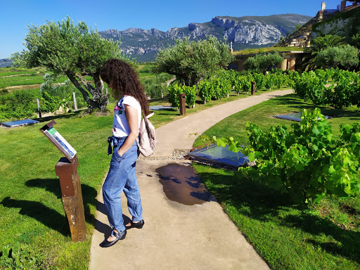 Bodegas Eguren - Visual
