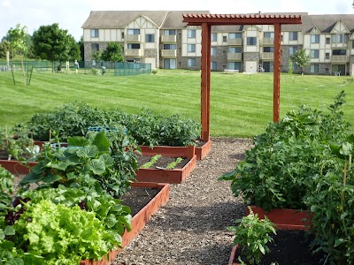 Photos of Thornridge Apartments
