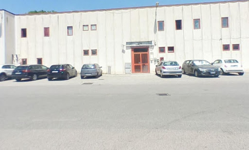 Autoservizi Troiani Terni Logo