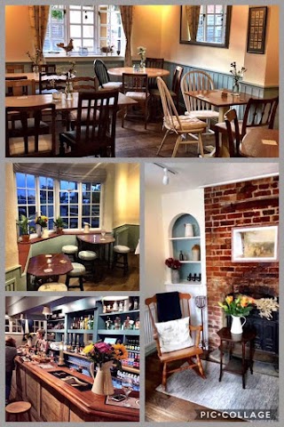 The Greyhound Charcott