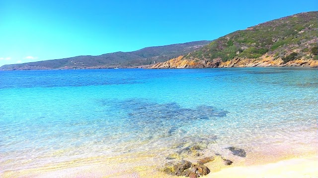 Asinara