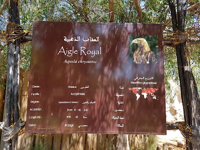 Photos of A&iacute;gle Royal