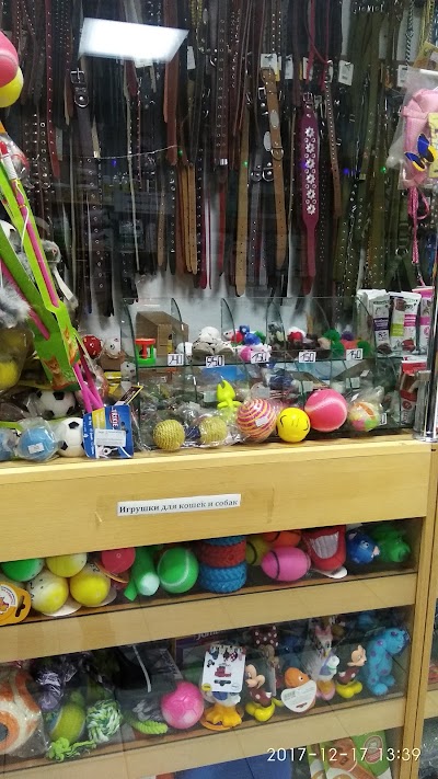 Photos of Too "Aybolit"