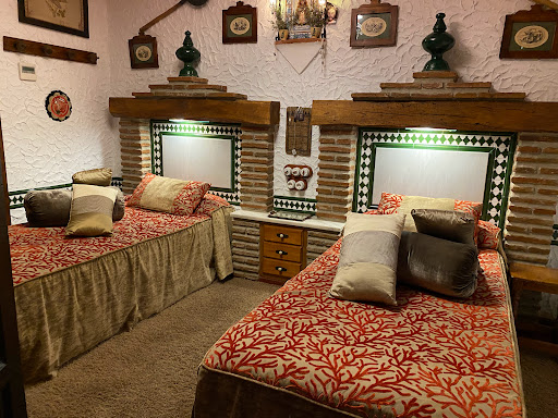 Anis Museum - Visual