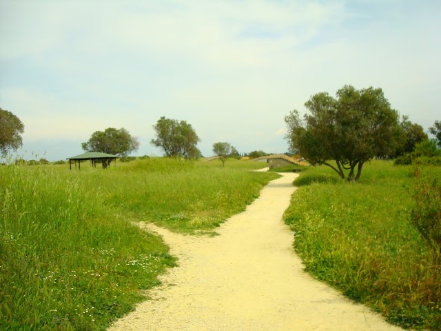 Necropoli della Banditaccia