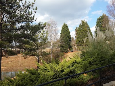 Photos of Bethesda Park