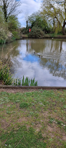Chestnut Pond - Thumbnail