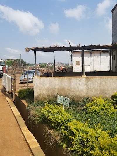 Photos of From slaughterhouse Yaoud&eacute; (SODEPA)