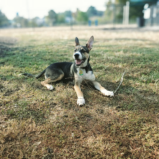 Conway Dog Park