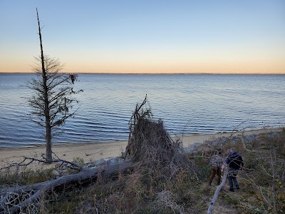 Neuse River Recreation Area