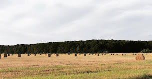 Photo n°1 de Léna Petit - Conseillère immobilier SAFTI - Chailles/Les Montils/Seur à Les Montils (Consultant immobilier)