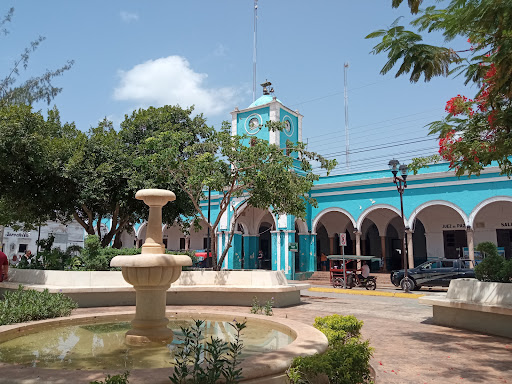 Halacho Park - Visual