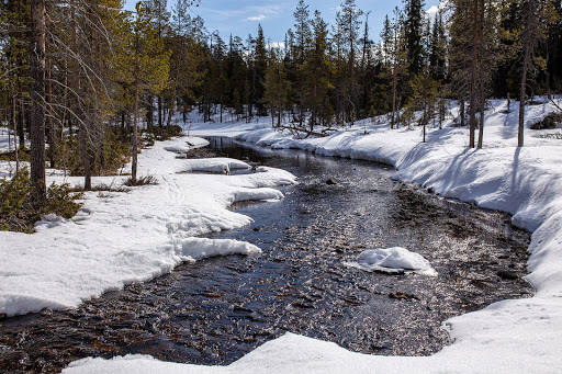 Fettjärn - Visual